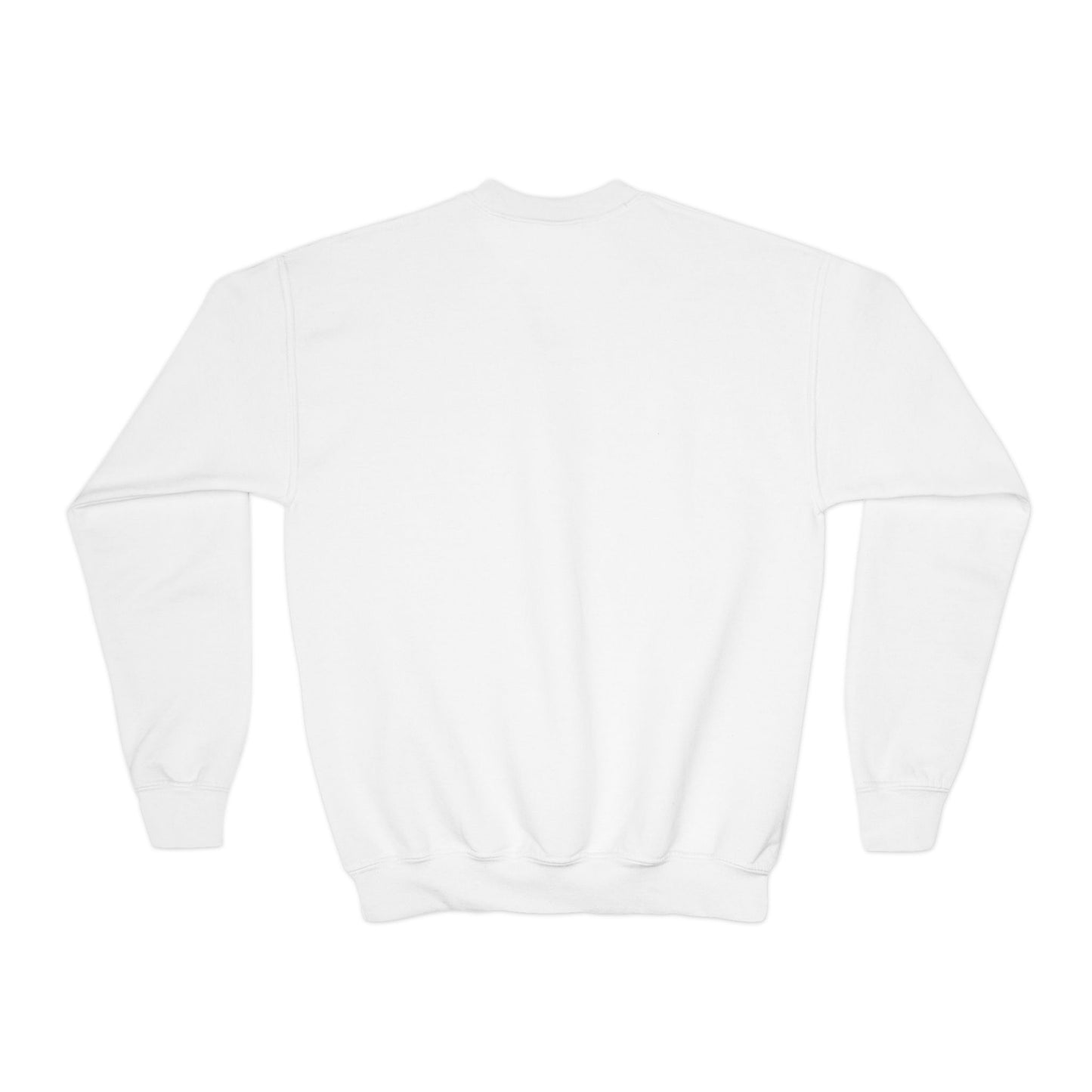 Kids Sweatshirts - Vehicles - Air Balloon